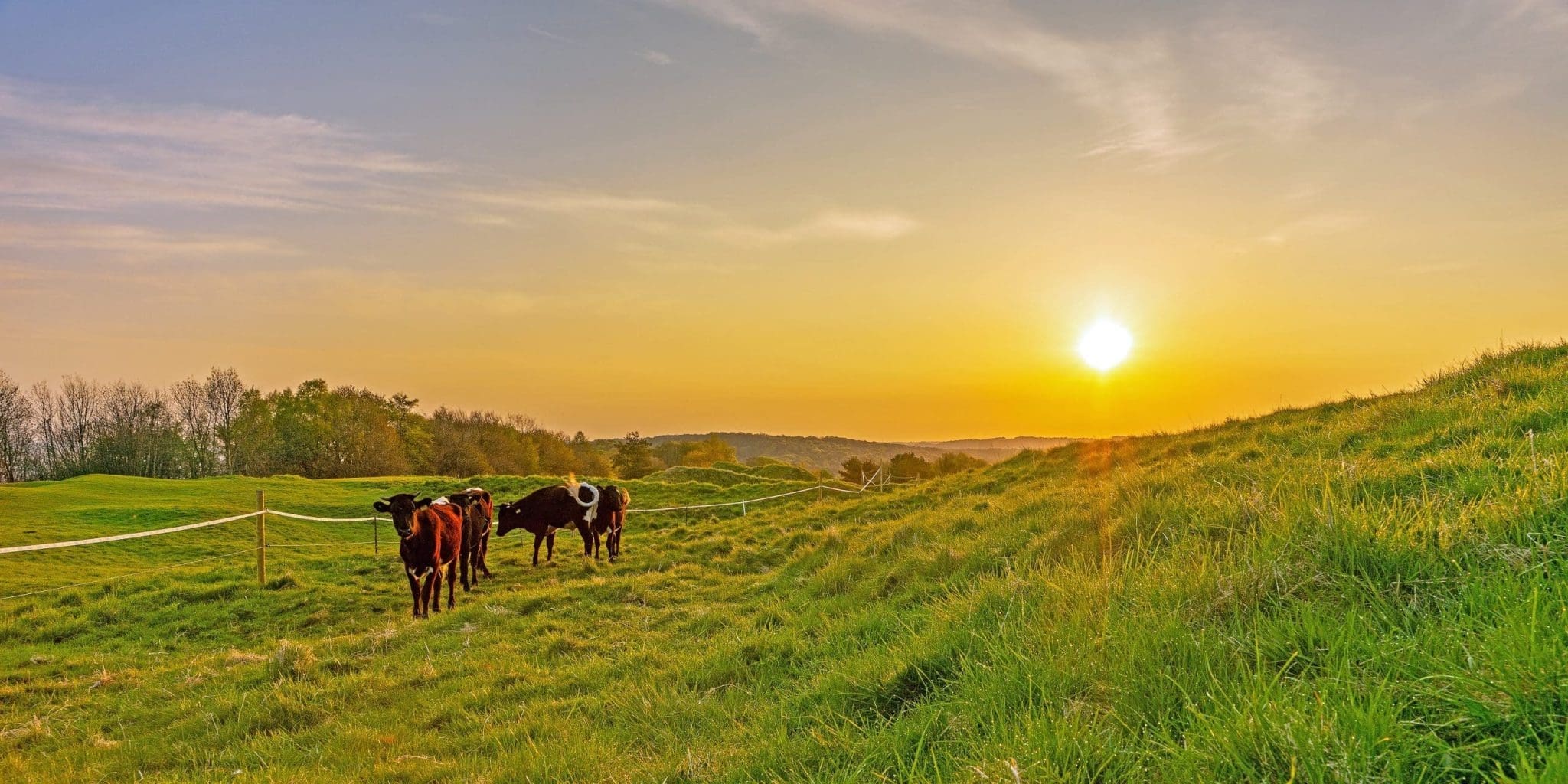 Sunrise over a UK farming landscape