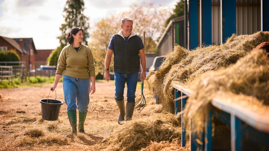 Two people walking on a farm, with a bucket and rake, engaged in farming tasks on a sunny day